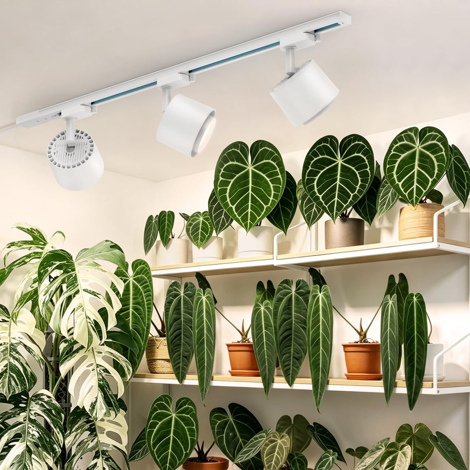 Barrina TR40c with 60-degree beam angle for focused indoor plant lighting.