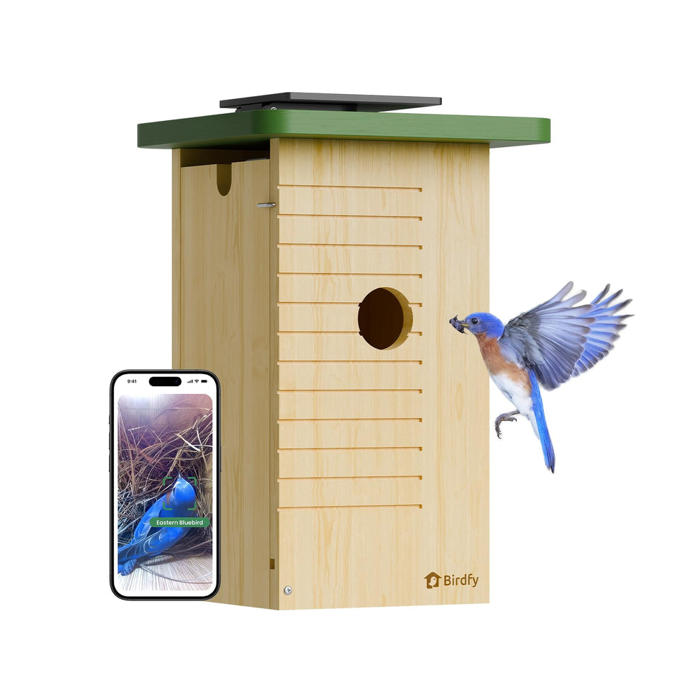 Birdfy Smart Bird House front view with camera for easy backyard monitoring.