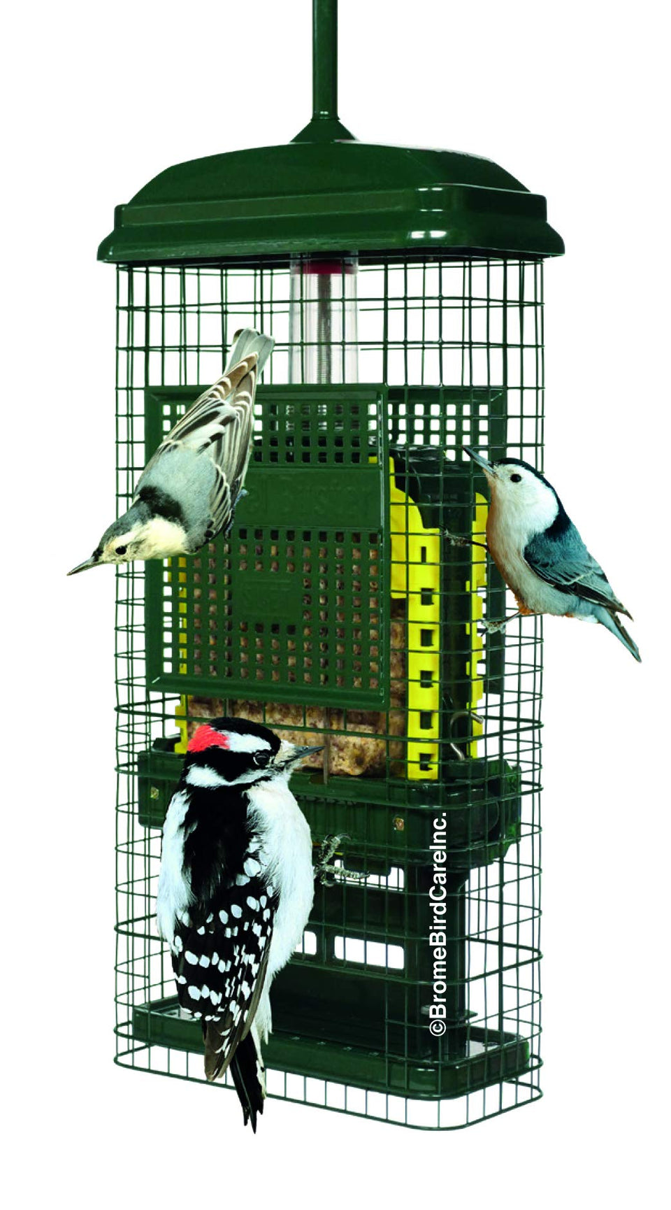 Brome Squirrel Buster showing dual suet trays for tidy bird feeding