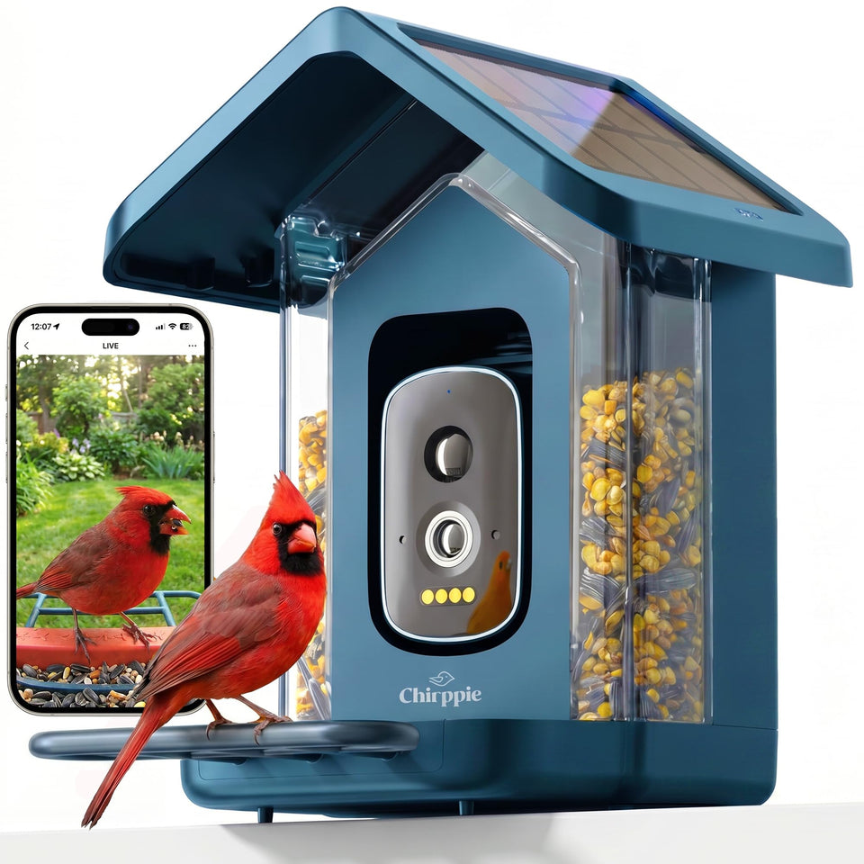 Chirppie solar bird feeder camera delivers real-time 2K video for backyard birdwatching.
