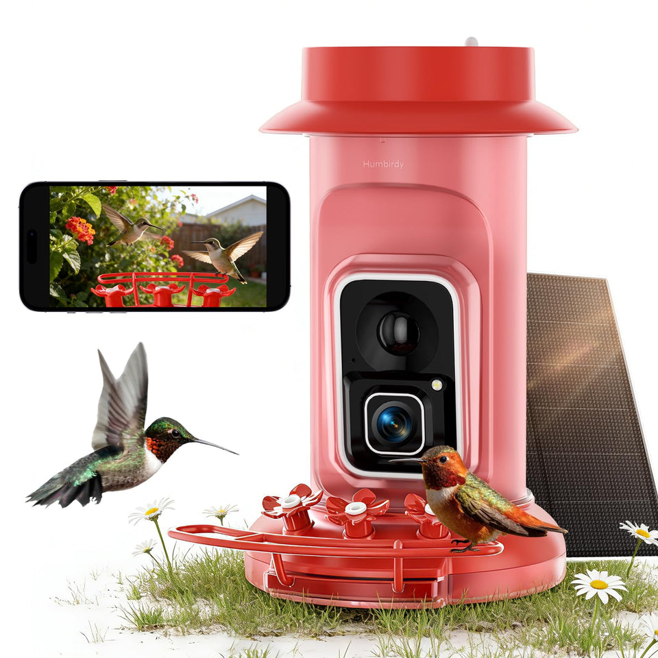 Humbirdy hummingbird feeder camera front view delivers vivid 4K footage of visitors