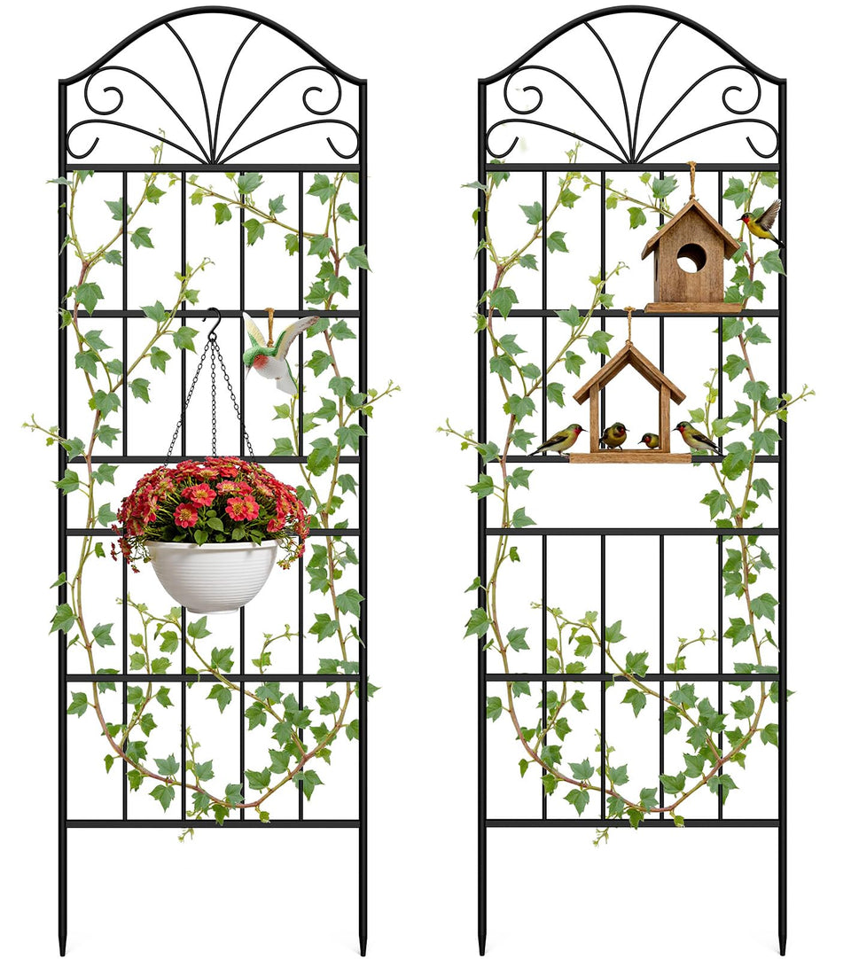VOXOR metal trellis 60-inch rose support for climbing plants.